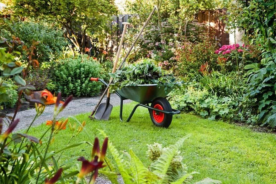 Weed control lawn treatment