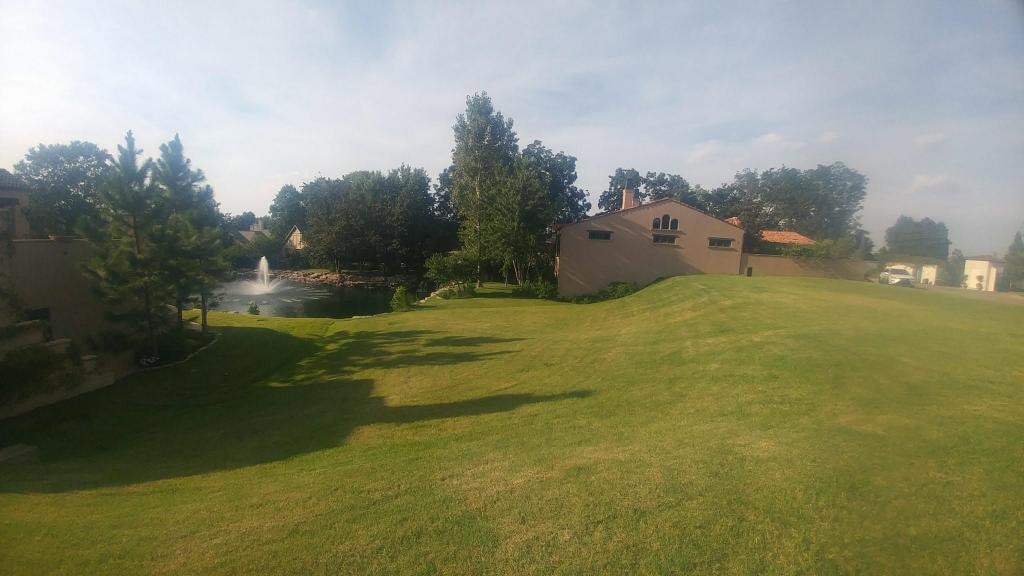 Stone pathway and backyard landscaping