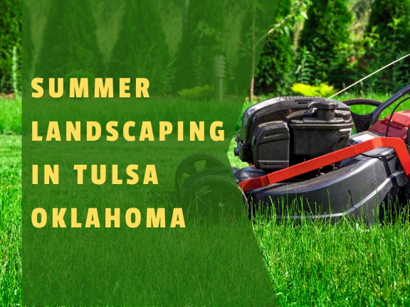Unveiling the Art of Summer Landscaping in Tulsa, Oklahoma: A Journey with Papa Landscape